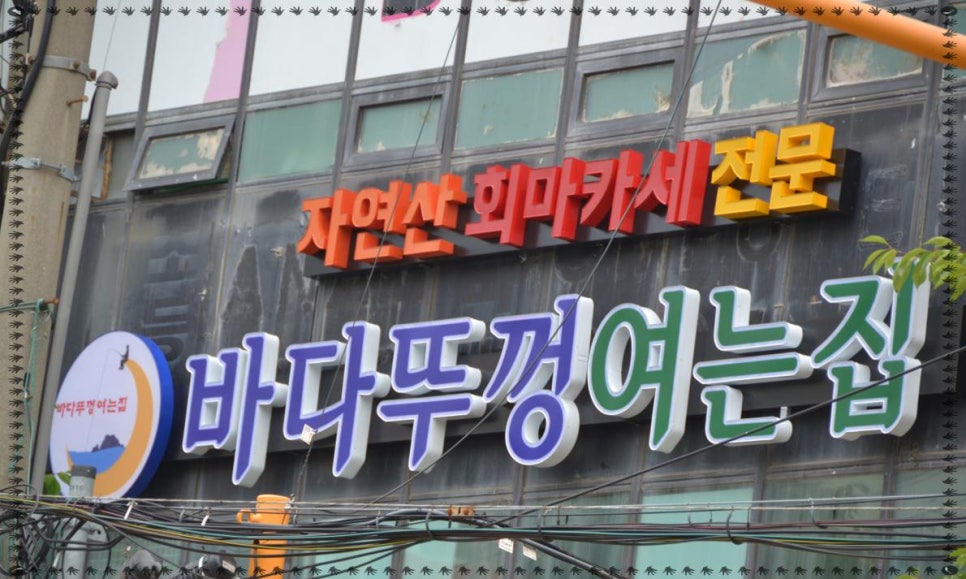 뚜껑집 이미지