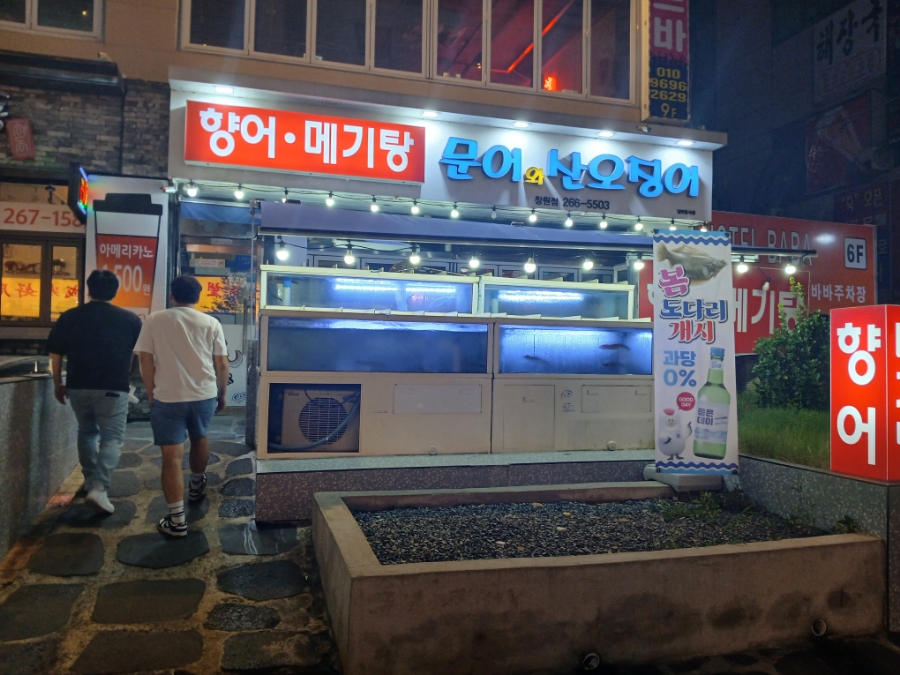 문어와산오징어 이미지