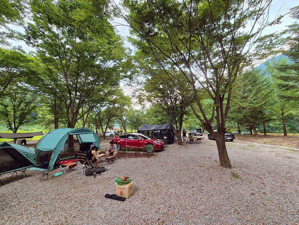 가리왕산 정원 캠핑장 이미지