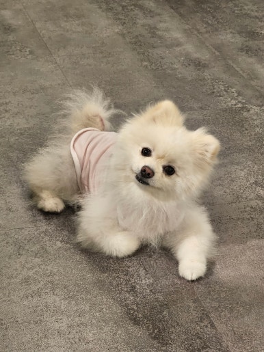 (주)미화 이미지