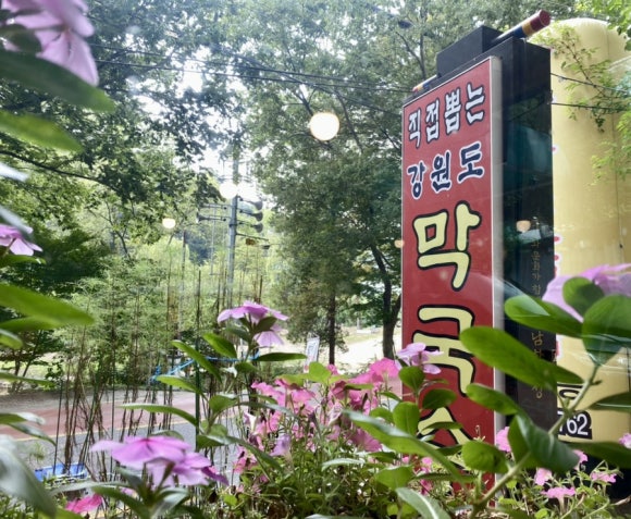 직접뽑는강원도막국수 이미지