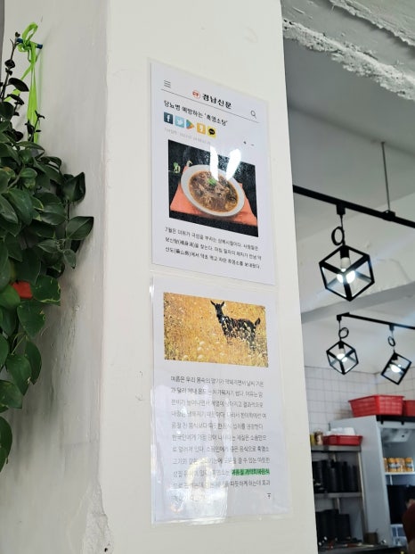 24시금강산흑염소 이미지
