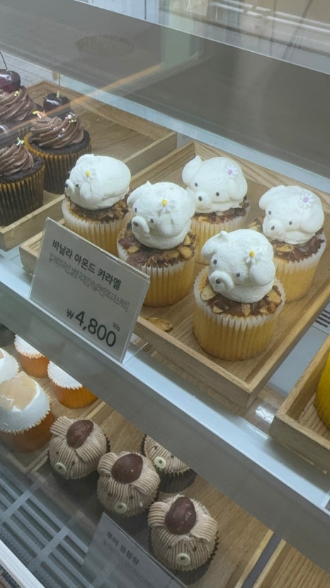 제트컵케이크 이미지