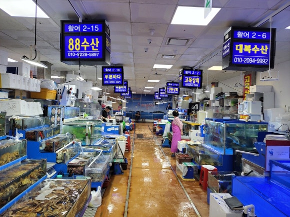 88수산 이미지