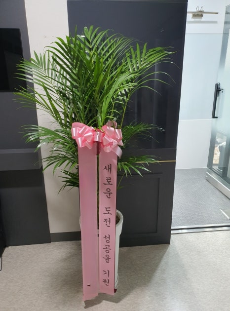 자매의뜰 이미지