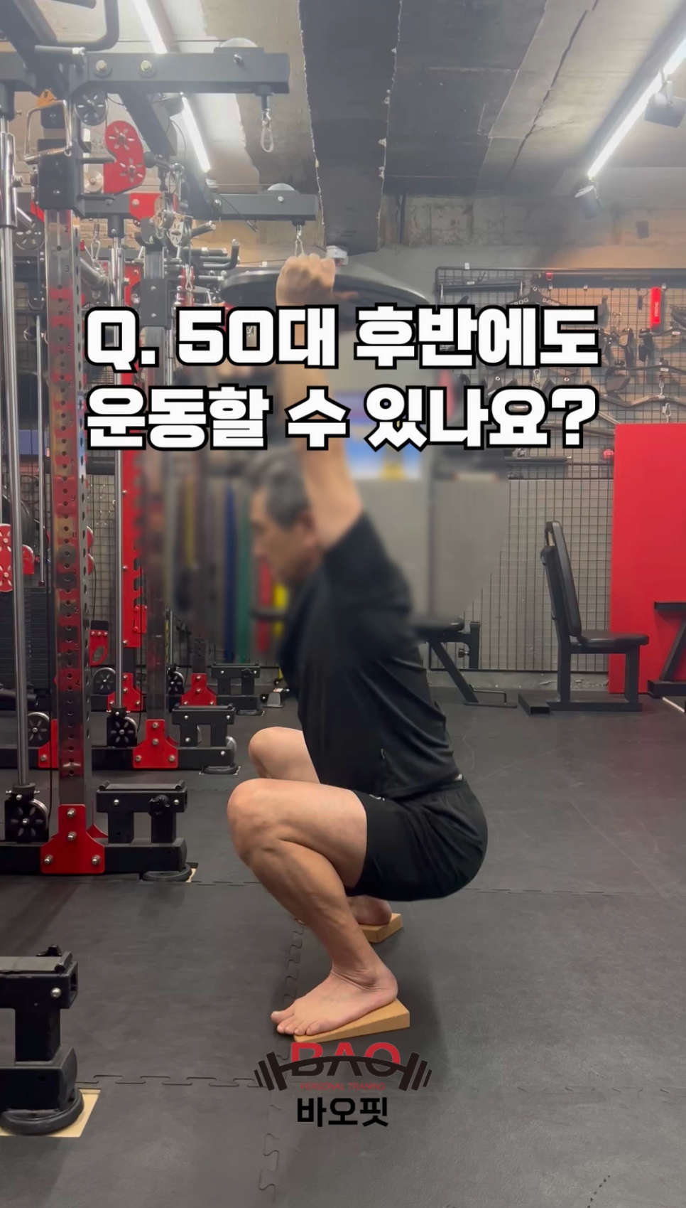 바오핏가락문정 이미지