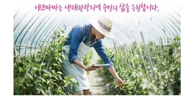 영에코 이미지