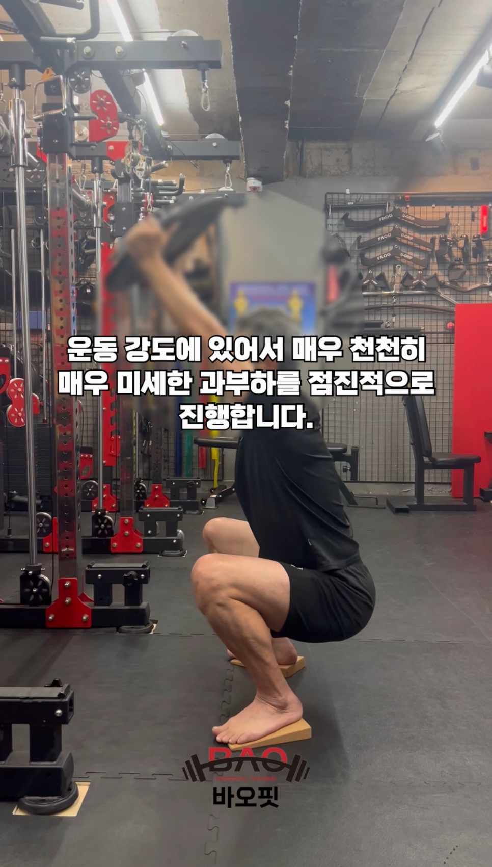 바오핏가락문정 이미지