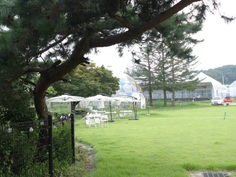 카페(CAFE)그루 이미지