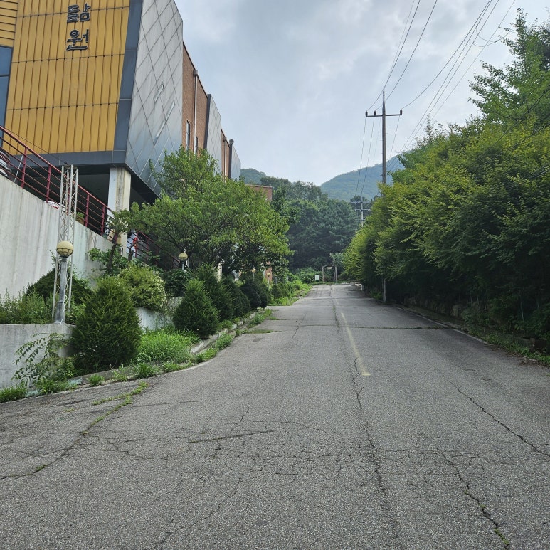 장흥숲길캠핑장 이미지