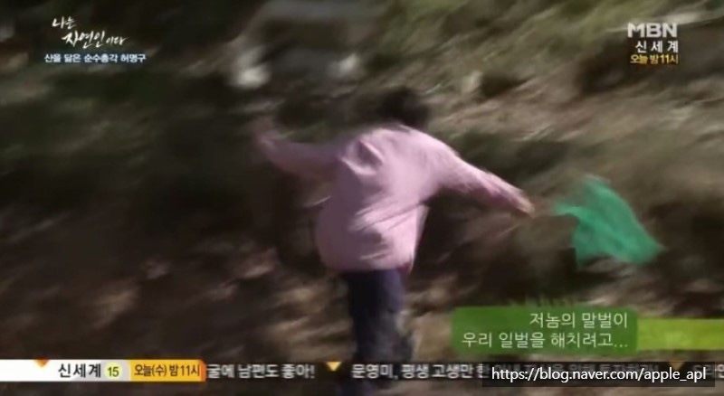 영만두 이미지