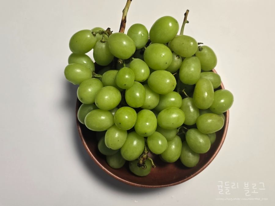 조은팜 이미지