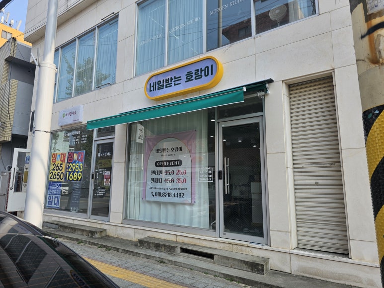 네일받는호랑이 이미지