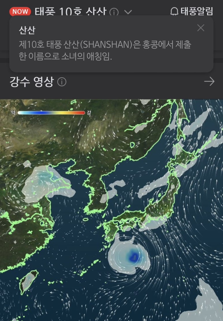 간다간다뿅간다 이미지