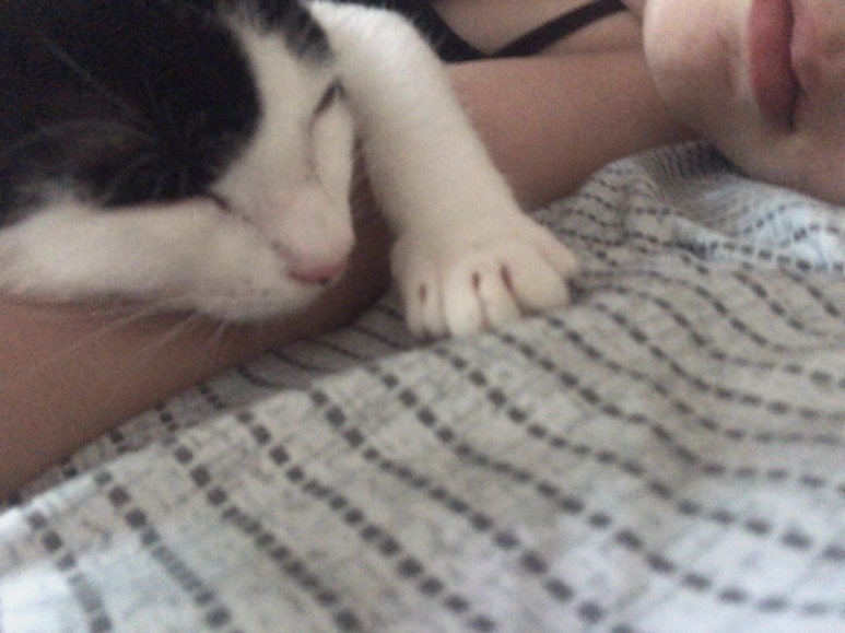 무릉수복 이미지