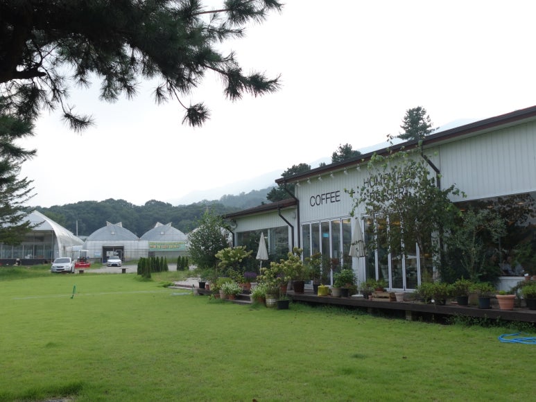 카페(CAFE)그루 이미지
