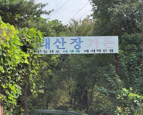 다래산장 이미지