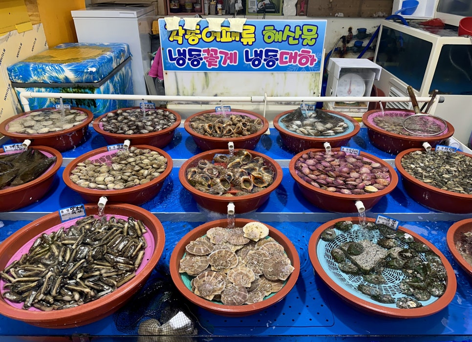 미숙이회수산 이미지