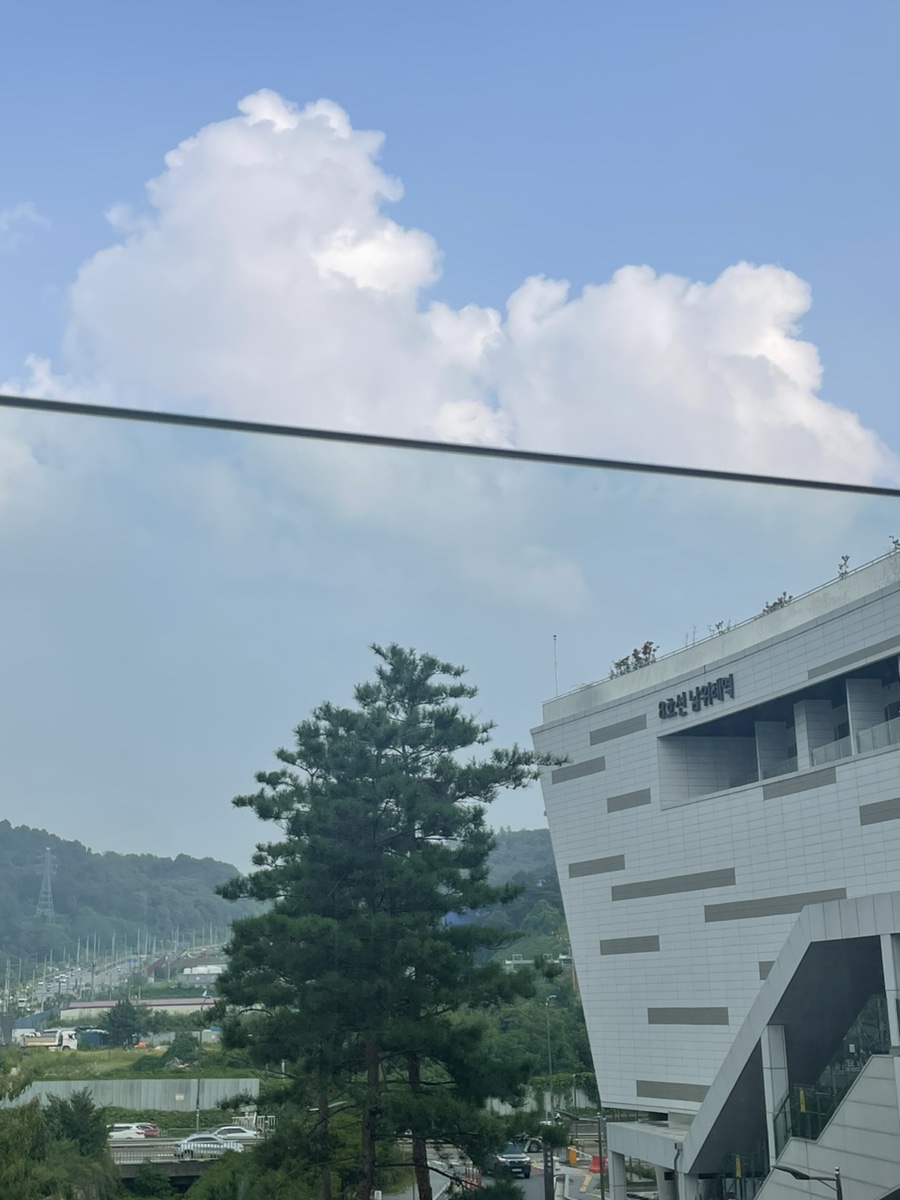선데이네일 이미지