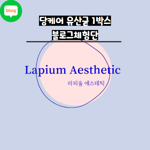 라피움 에스테틱 이미지