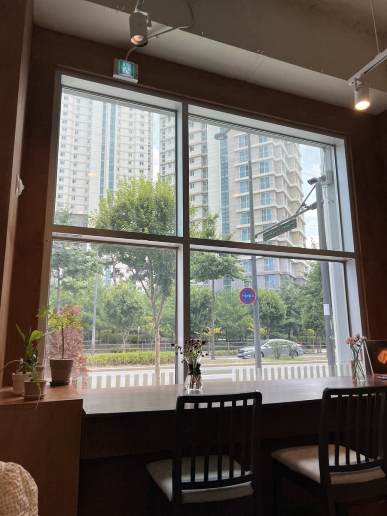 스텔라온 이미지
