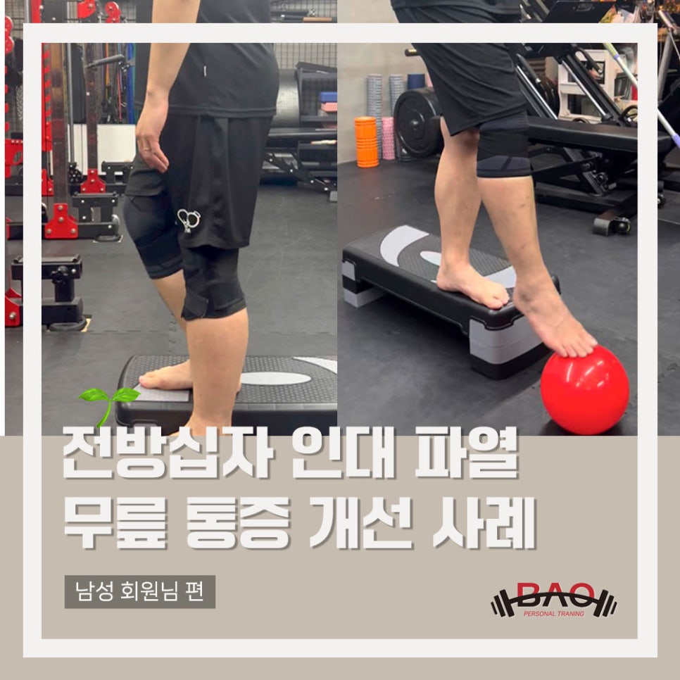 바오핏가락문정 이미지