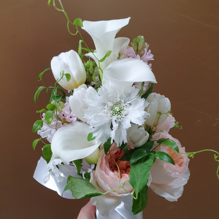 라메르블룸 이미지