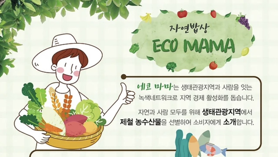영에코 이미지