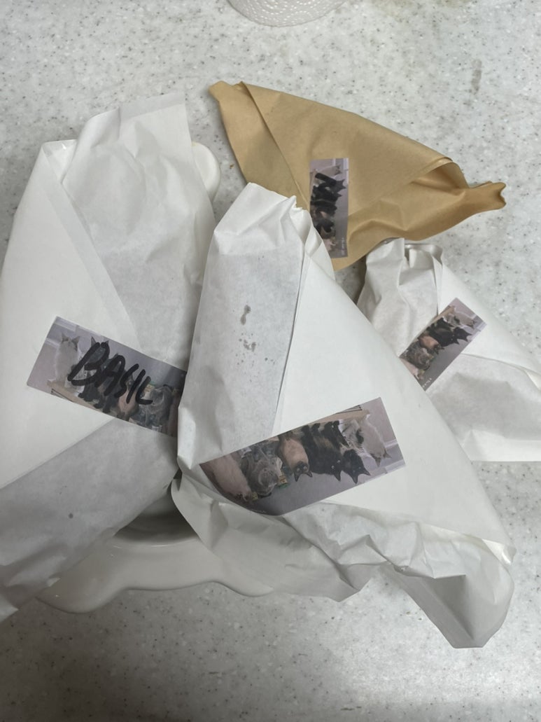머즐스 이미지