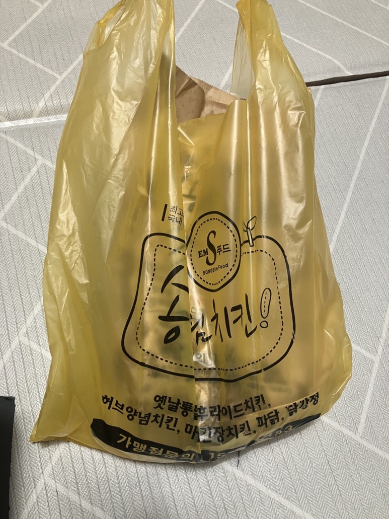 송엘림 이미지