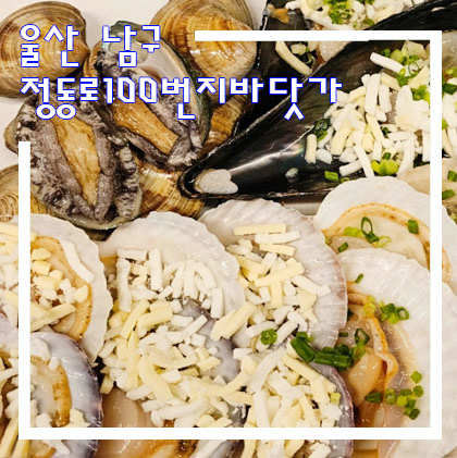 정동로100번지바닷가 이미지