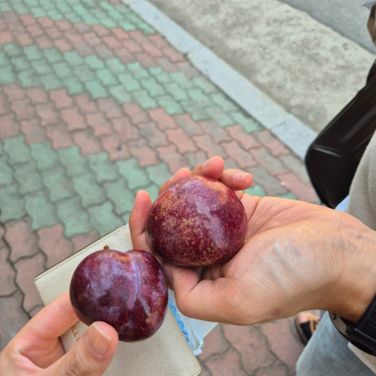 옥천반점 이미지