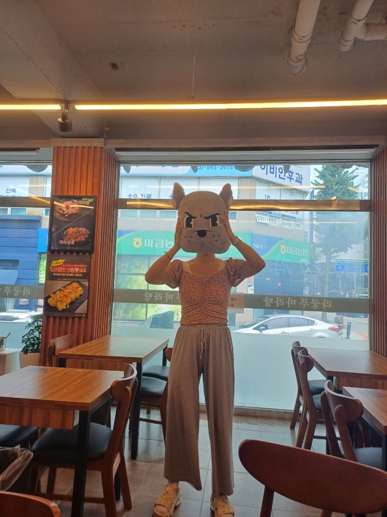 라쿵푸 이미지