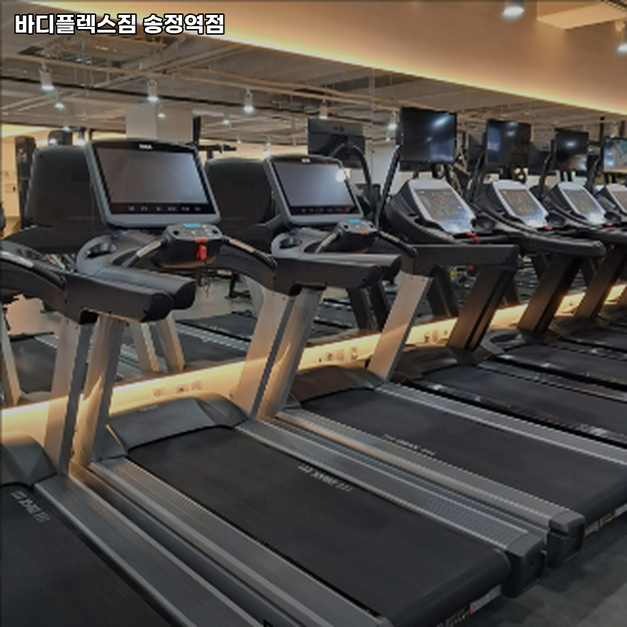 바디플렉스짐송정역점 이미지