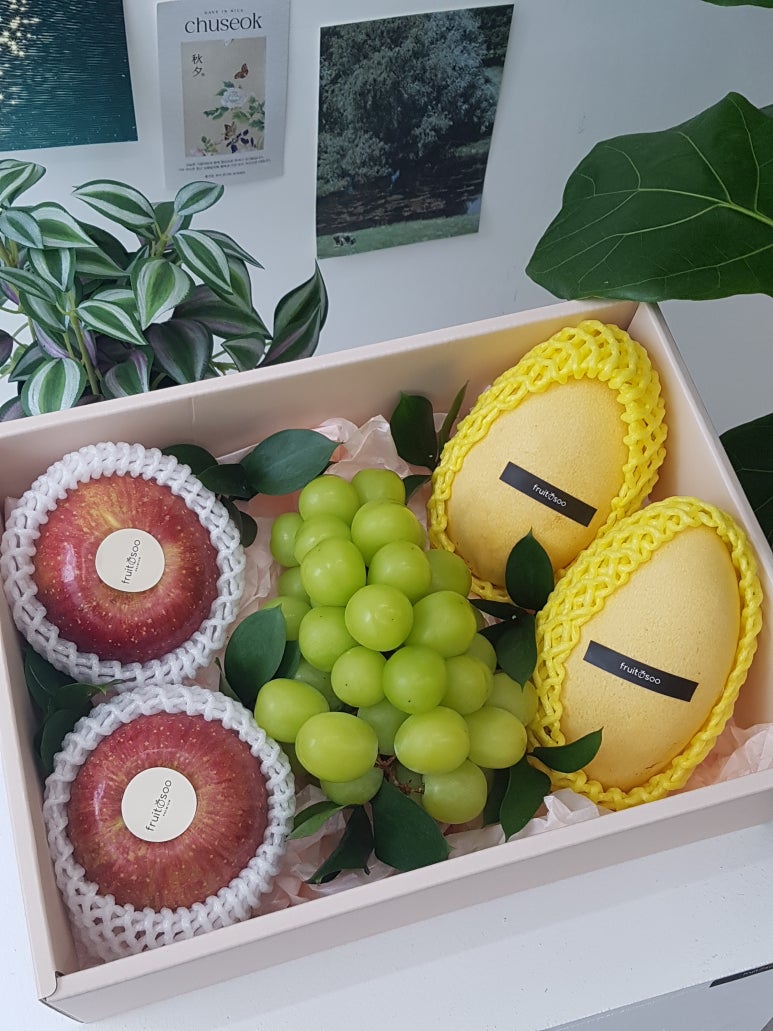 프룻수 이미지