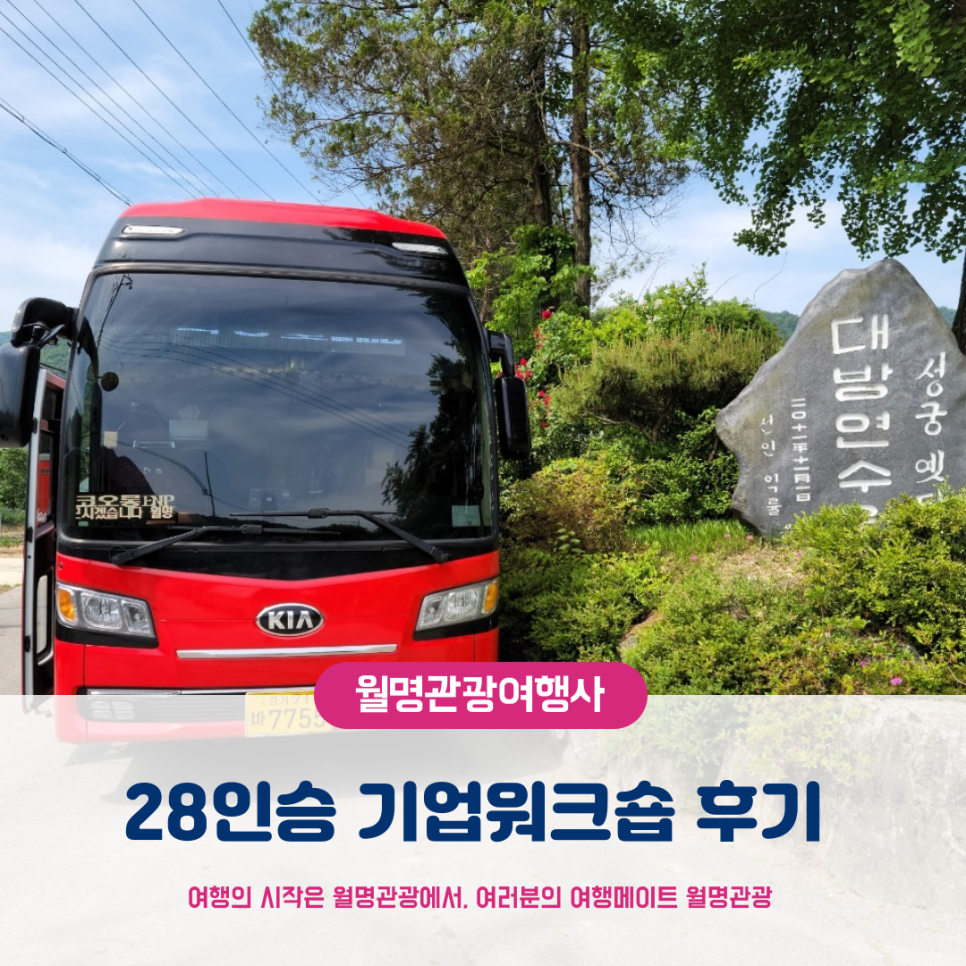 월명관광여행사 이미지