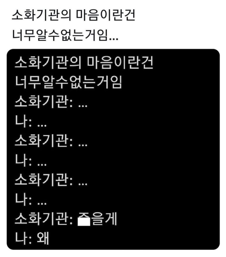 얌차 이미지