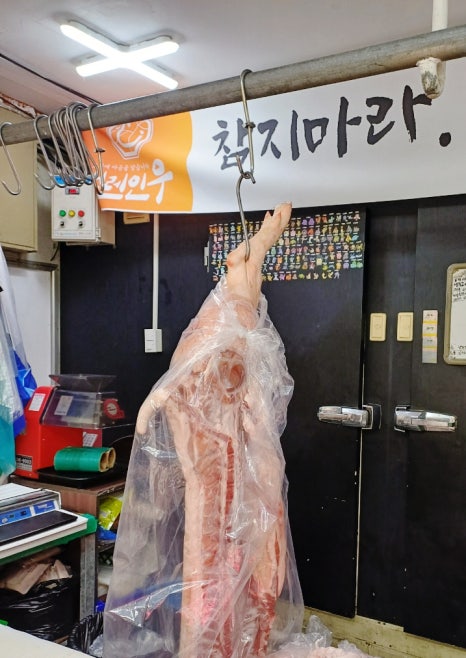 설레인우 고색점 이미지