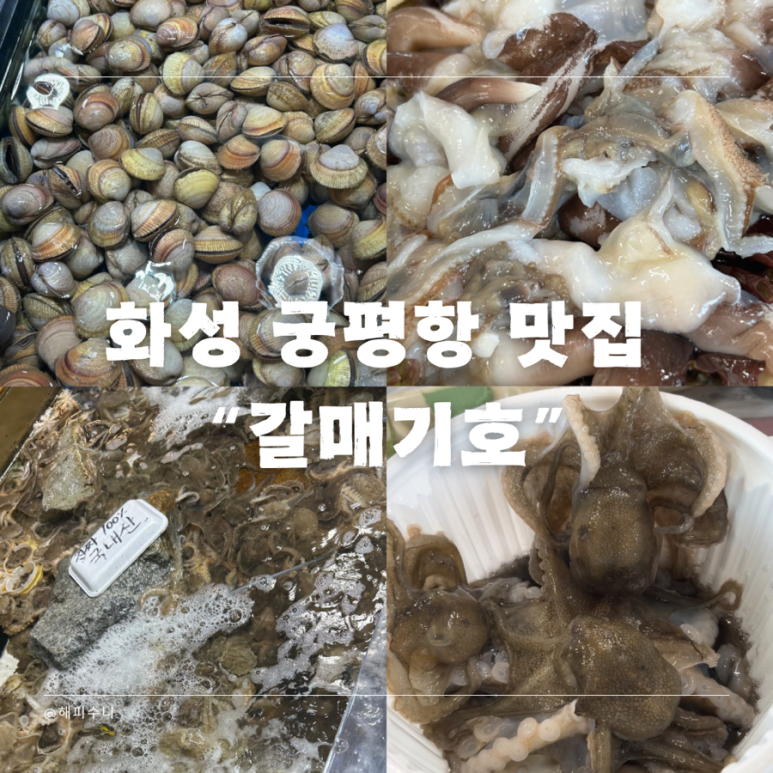 궁평항3호 이미지