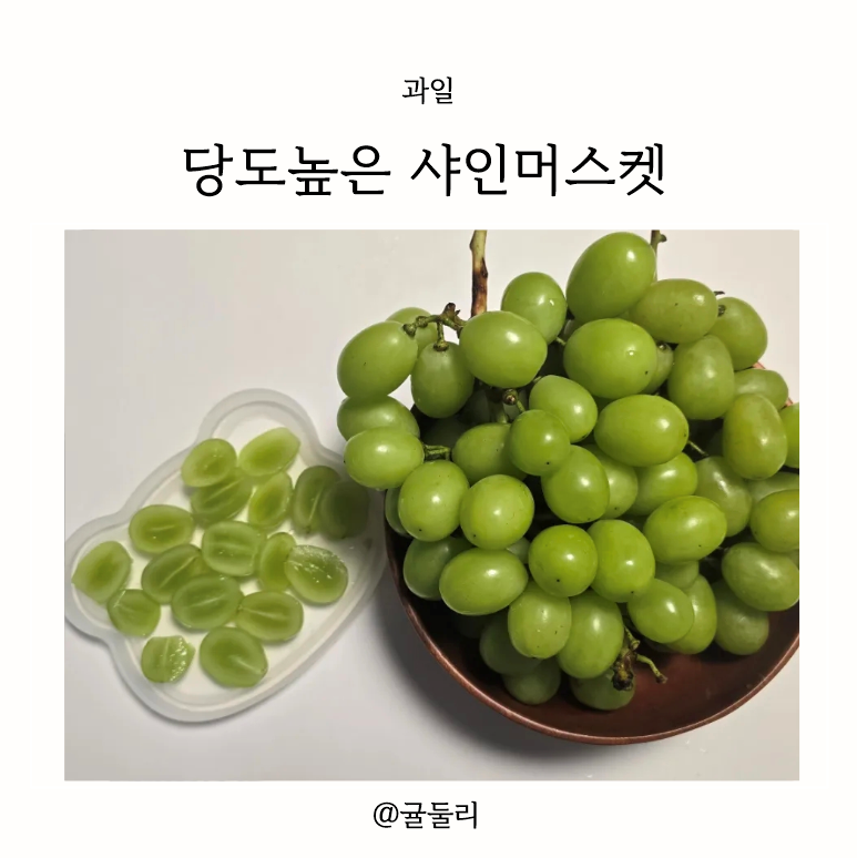 조은팜 이미지
