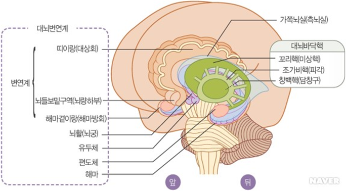 모이PLUS 이미지