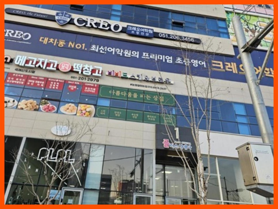 비비드 스킨 앤(&) 브로우 이미지