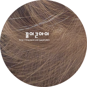 플랜에이치헤어 이미지