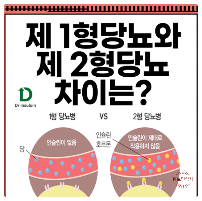 풍기인삼시장 한보인삼사 이미지