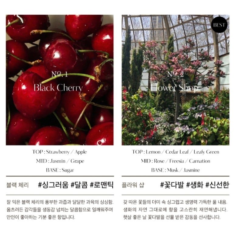 소롯 이미지