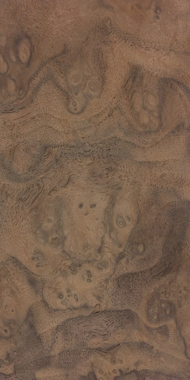 월넛 walnut 이미지