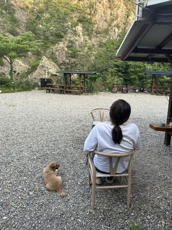 죽화우펜션 이미지