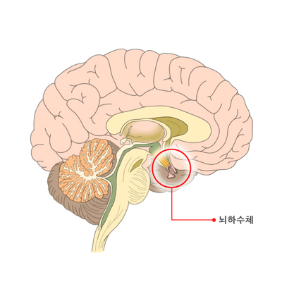 양평요양병원 이미지