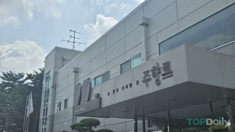 술향기 이미지