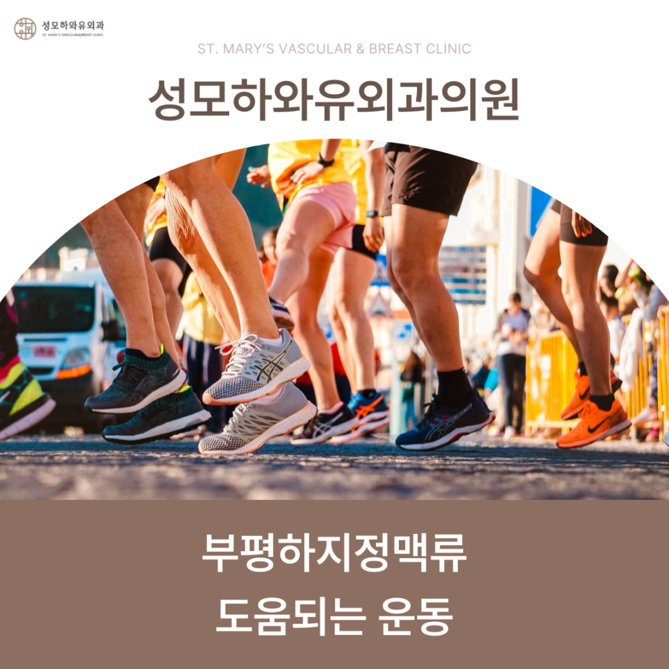 성모하와유외과의원 이미지